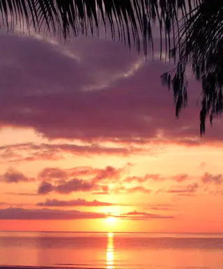 Erlebe Cape Tribulation